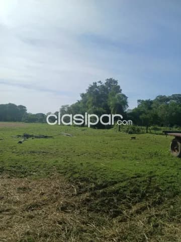 Oportunidad de Inversión Estratégica en Ypacaraí — foto 3