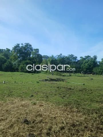 Oportunidad de Inversión Estratégica en Ypacaraí — foto 4