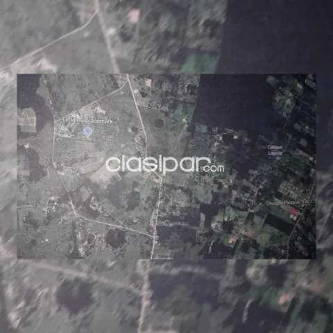28,5686 hectáreas Planta Acopiadora de SÉSAMO y Aceite, procesadora de carne 🥩. Funciona, foto 2