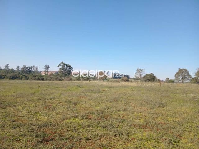 propiedad en Minga Guazu, con frente sobre ruta PY02, foto 1
