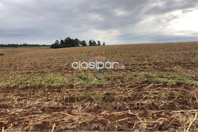 En Venta -Estancia/Campo - Pirapó, Itapúa, Paraguay