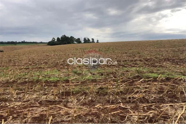 En Venta -Estancia/Campo - Pirapó, Itapúa, Paraguay — foto 2