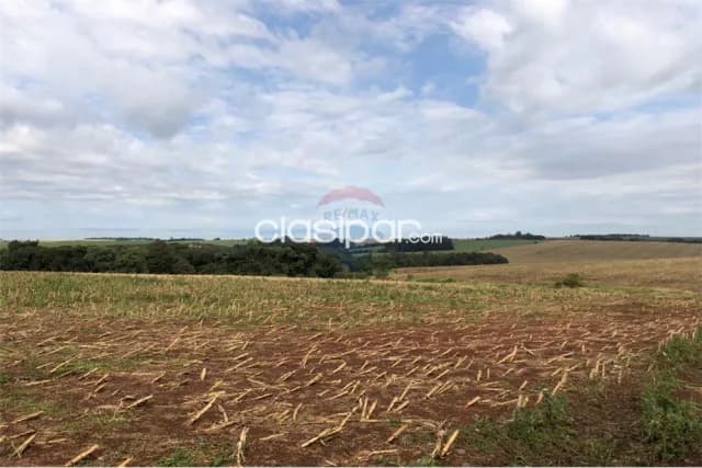 En Venta -Estancia/Campo - Pirapó, Itapúa, Paraguay — foto 3