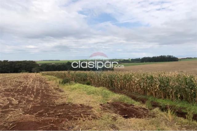 En Venta -Estancia/Campo - Pirapó, Itapúa, Paraguay — foto 5
