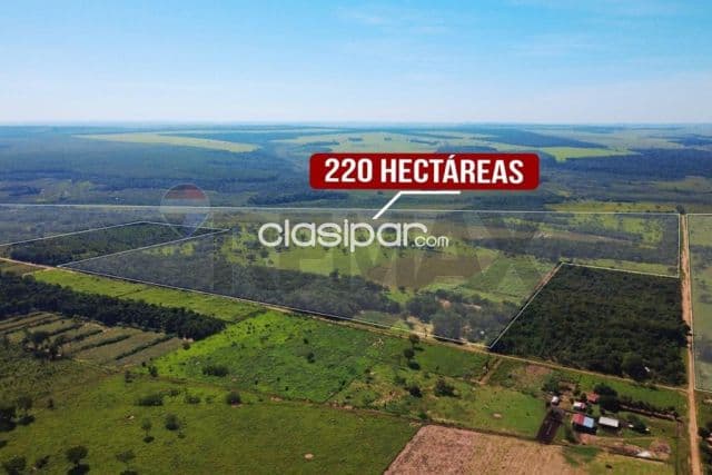 En Venta - Finca Agrícola -San Estanislao, San Pedro, Paraguay