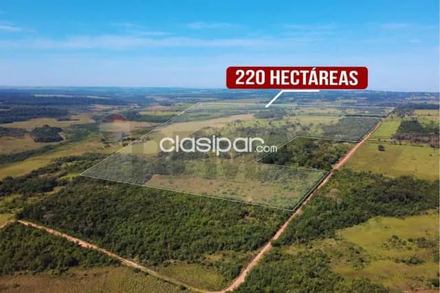 En Venta - Finca Agrícola -San Estanislao, San Pedro, Paraguay, foto 3