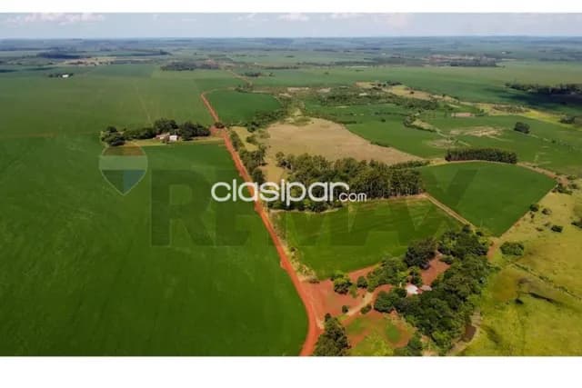 En Venta - Terreno -Itakyry, Alto Paraná, Paraguay — foto 5