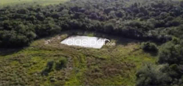 Propiedad Ganadera de 370 Hectáreas en Isla Pucú, Cordillera - LCS8371062 — foto 4