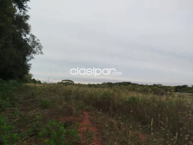 34 ha en José Sasardi Guaira — foto 4