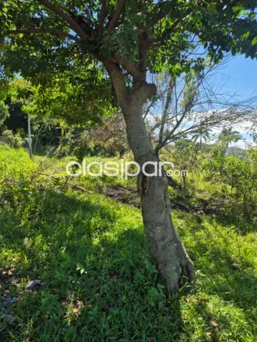 Hermoso terreno en toledo cañada – j. Augusto saldívar, foto 4