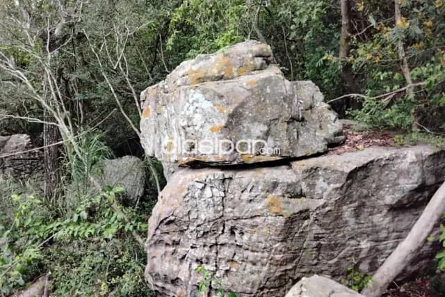 Espectacular terreno de 63.400 m² (6,34 hectáreas) con 100MTS de frente en Nueva Colombia — foto 2