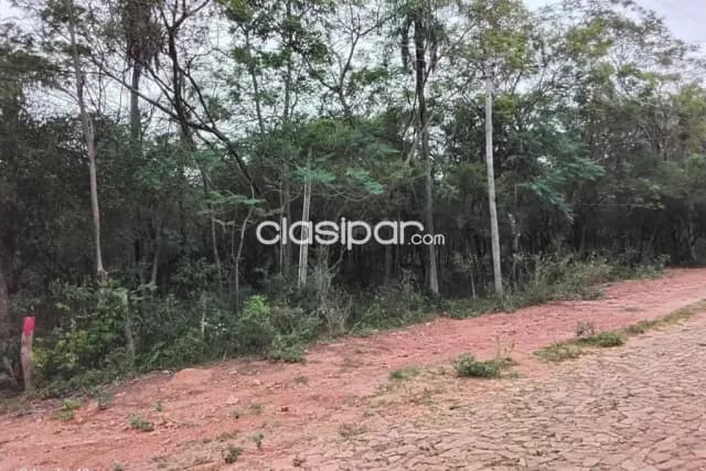 Espectacular terreno de 63.400 m² (6,34 hectáreas) con 100MTS de frente en Nueva Colombia — foto 3