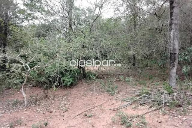 Espectacular terreno de 63.400 m² (6,34 hectáreas) con 100MTS de frente en Nueva Colombia — foto 4