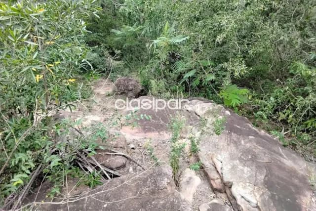 Espectacular terreno de 63.400 m² (6,34 hectáreas) con 100MTS de frente en Nueva Colombia — foto 5
