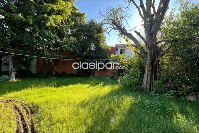 Terreno Amplio Luque Campo Grande, foto 4