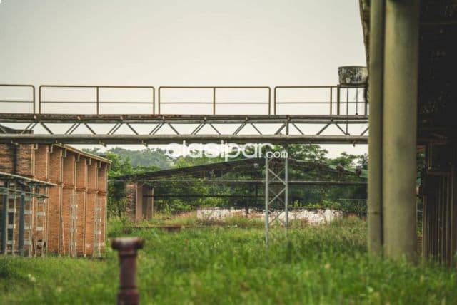 Plataforma Industrial Farmacéutica Multipropósito en Yaguaron, foto 1