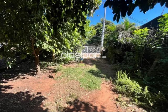 Terreno con Casa a Remodelar en Barrio San Pablo, foto 4