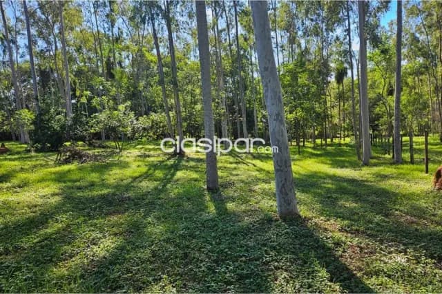 En venta amplio terreno en altos, zona centro, foto 2