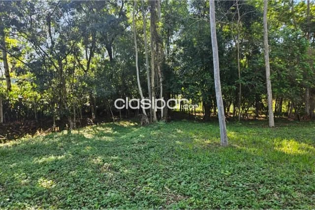 En venta amplio terreno en altos, zona centro, foto 3