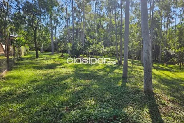 En venta amplio terreno en altos, zona centro, foto 4