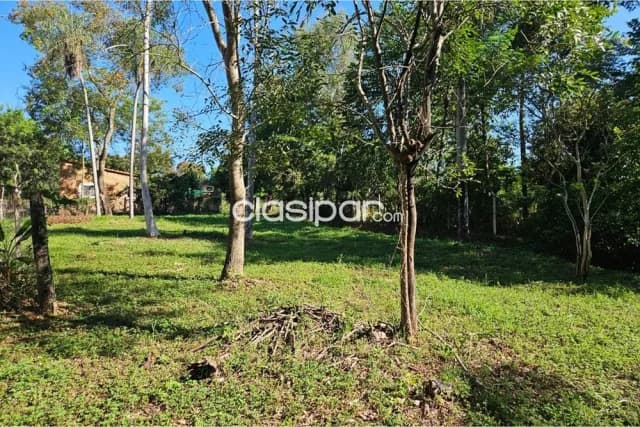 En venta amplio terreno en altos, zona centro, foto 5