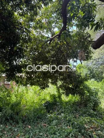terrenos de 1.000 m2 en la ciudad de San Antonio — foto 3