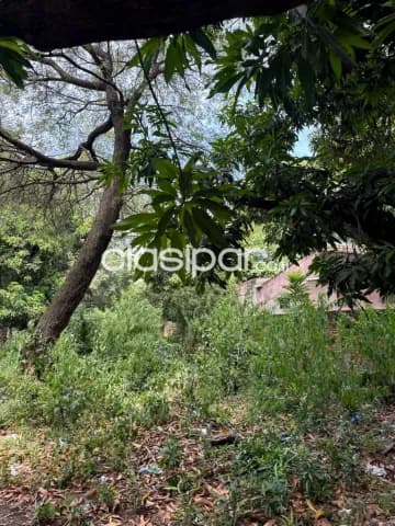 terrenos de 1.000 m2 en la ciudad de San Antonio — foto 4