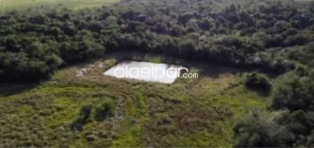 Propiedad ganadera en venta en Isla Pucu, foto 2