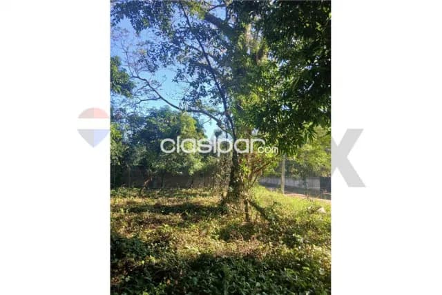 Terreno en san bernrdino 2500 m2, foto 3