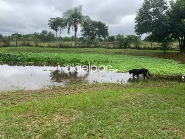 Por viaje, propietario vende hermosa casa quinta en Ypacaraí — foto 3