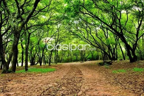 Terreno en Venta en Central Ypacaraí Ypacarai — foto 4