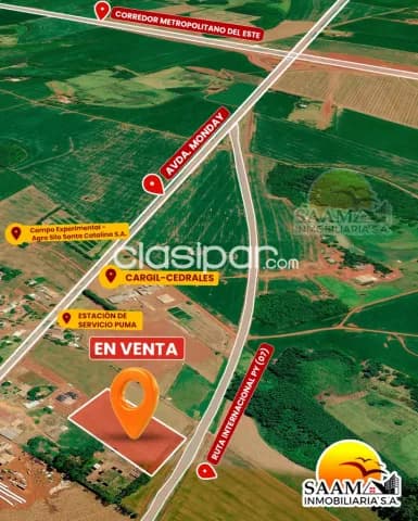 2,6 Hectáreas En Venta- Los Cedrales — foto 4