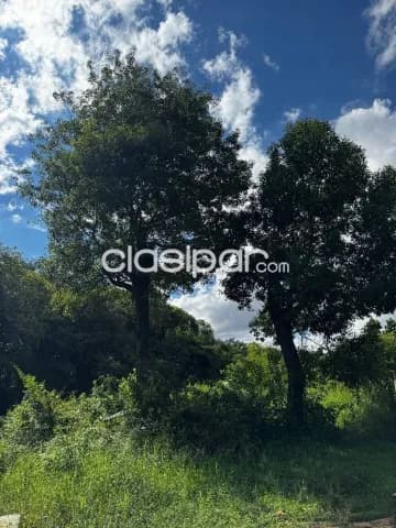 terreno en Ypané, foto 4