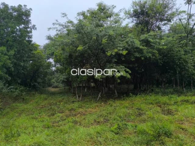 Terreno en Altos, foto 3