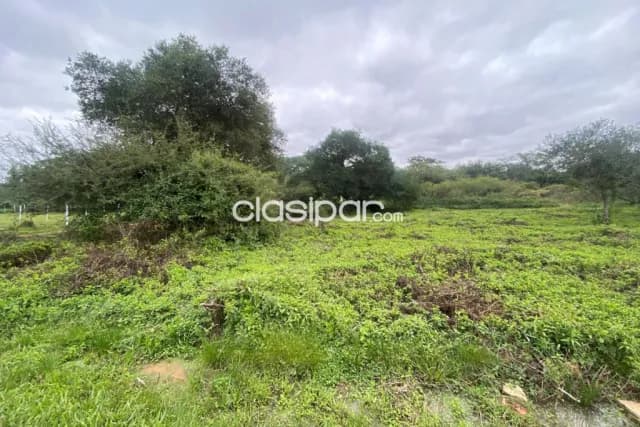 Terreno en Luque 12 X 130 en zarate isla, foto 4