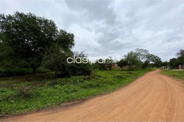 Terreno en Luque 12 X 130 en zarate isla, foto 5