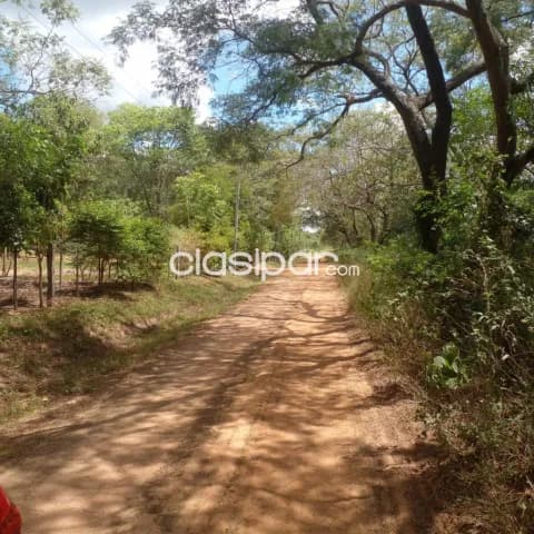Super oferta vendo propiedad en ciudad de loma grande. Superficie: 8.6 hectáreas, foto 3