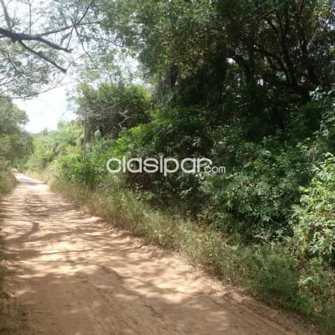 Super oferta vendo propiedad en ciudad de loma grande. Superficie: 8.6 hectáreas, foto 4