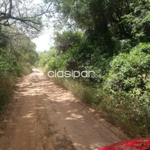 Super oferta vendo propiedad en ciudad de loma grande. Superficie: 8.6 hectáreas, foto 5
