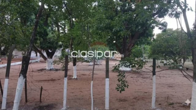Amplio terreno en Mariano Roque Alonso 📍 barrio maría auxiliadora, foto 4