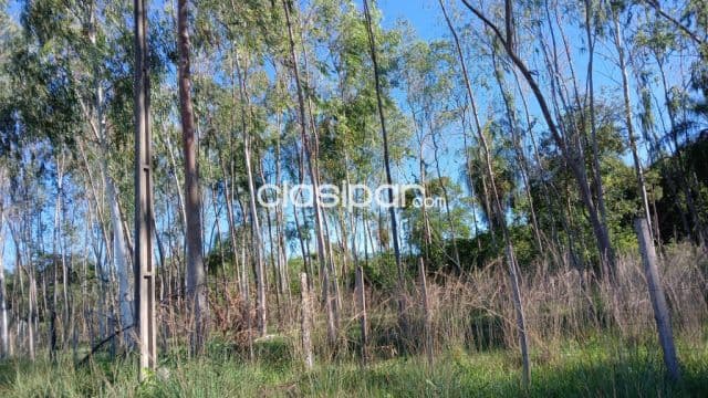 EN VENTA: Hermosa Propiedad de 37,4 Hectáreas en Loma Grande, foto 1