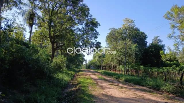 EN VENTA: Hermosa Propiedad de 37,4 Hectáreas en Loma Grande, foto 5