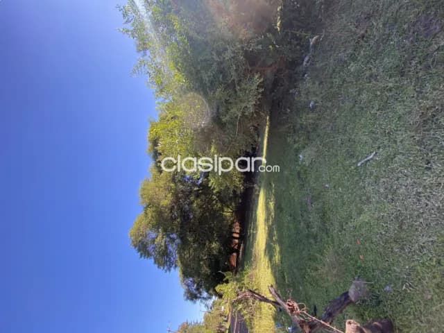 🏡 Gran oportunidad en San Antonio – Terreno de 2.695 m² con 160 m de frente, foto 5