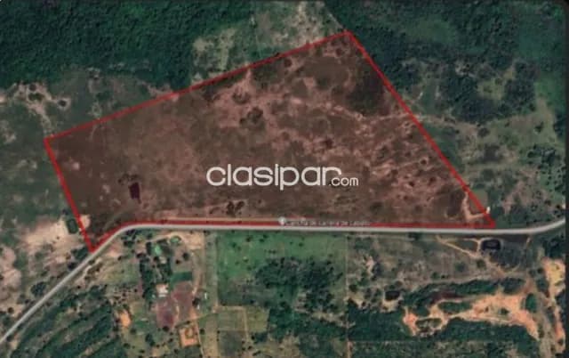 Granja de 33 ha en San Blas ciudad de concepción — foto 2