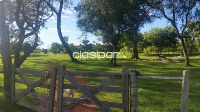 Granja de 33 ha en San Blas ciudad de concepción — foto 3