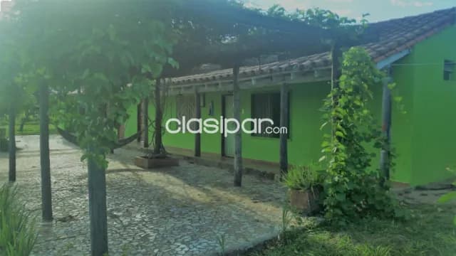 Granja de 33 ha en San Blas ciudad de concepción — foto 4