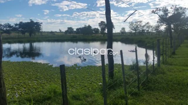 Granja de 33 ha en San Blas ciudad de concepción — foto 5