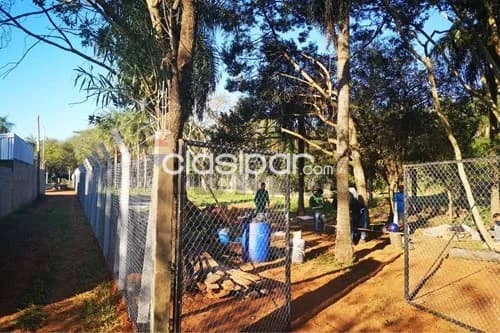 Terreno en Venta en Central Luque 110940 Mora Kue Santo Tomas San Marcos, foto 3