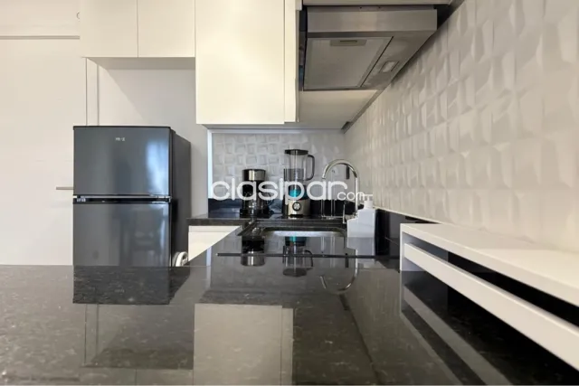 Departamento Amoblado dos dormitorios Molas Lopez — foto 5
