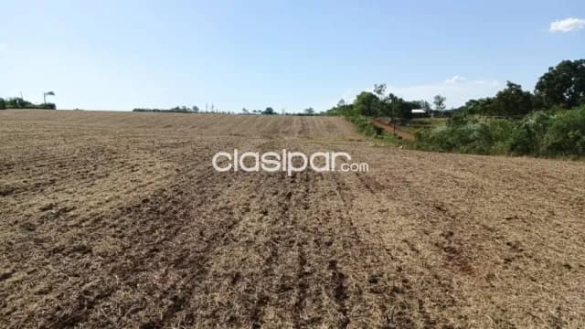 Propiedad 8 hectareas agricola mecanizada — foto 2